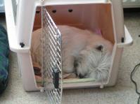 Klik op de foto voor groter formaat